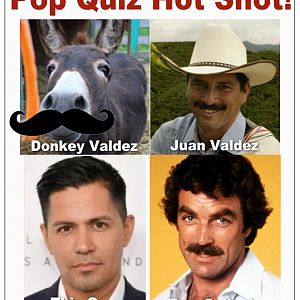 Pop-Quiz
