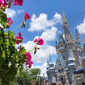 Cinderella-Castle - 11