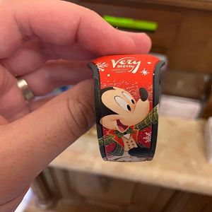 Verymerrymagicband2