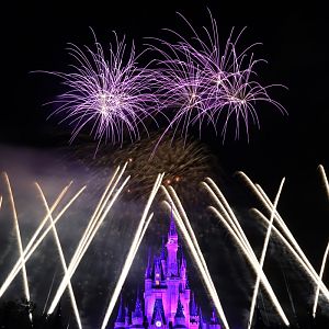 MVMCP-2018-053