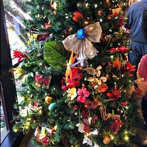 Polynesian 1_Disney 2018
