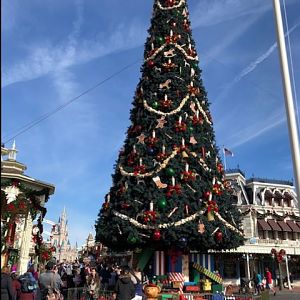Tree On Main Street 1_MK_Disney 2018