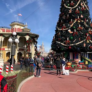 Tree On Main Street 2_MK_Disney 2018