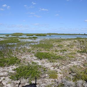 Castaway-Cay-022