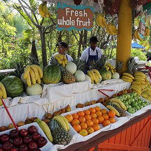 Castaway-Cay-061