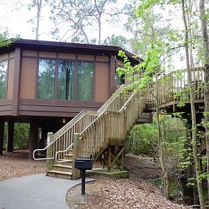 Saratogatreehouse1