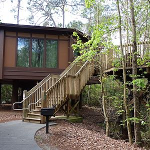 Saratogatreehouse3