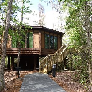 Media 'Saratogatreehouse4' in category 'Treehouse Villas'