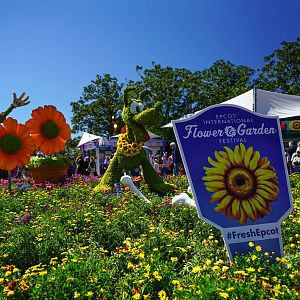 Epcot-Flower-Garden-Festival-002