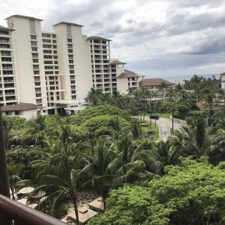 2D0258FE-BB91-40CB-8B60-9534ABD8E121.jpeg