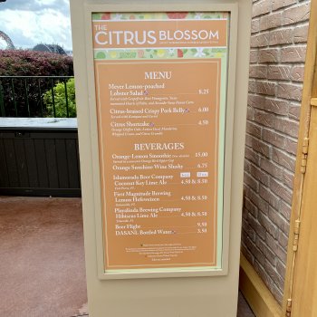 epcot-flower-garden-festival-menus-008.jpeg