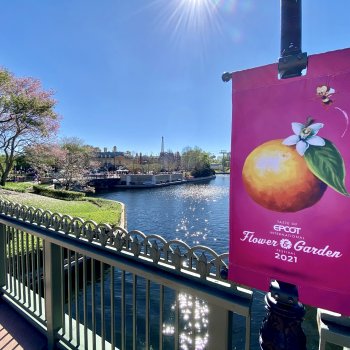 epcot-flower-garden-festival-014.jpeg