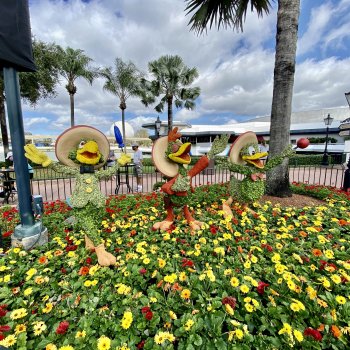 epcot-flower-garden-festival-010.jpeg