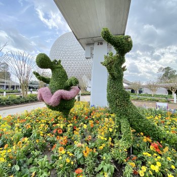 epcot-flower-garden-festival-007.jpeg