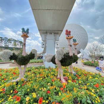 epcot-flower-garden-festival-006.jpeg