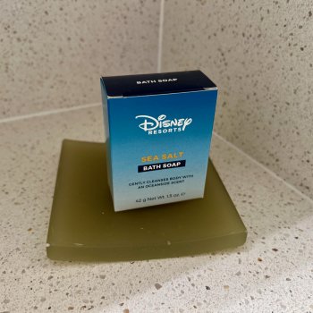 Disneys-All-Star-Music-Family-Suite-026.jpeg