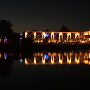 Epcot Christmas lights