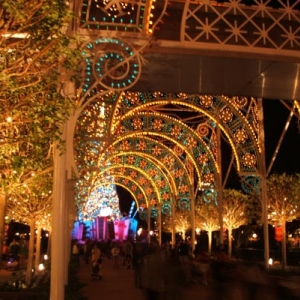 Christmas lights
