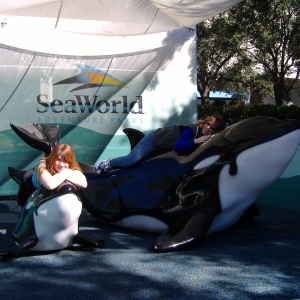 At Sea World