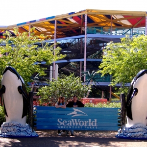 Sea World