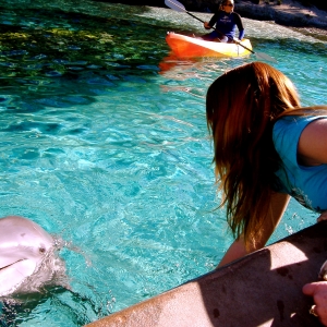 Kinz with the dolphin at SW