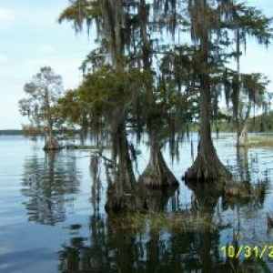 Swamp_Trail_4
