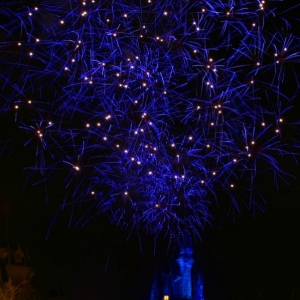 Wishes
