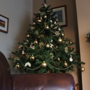 tree_2_001