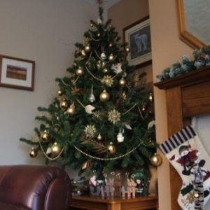 tree_2_003