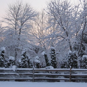 snow1