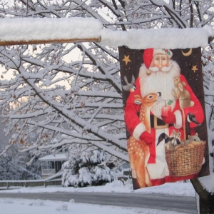 snow2