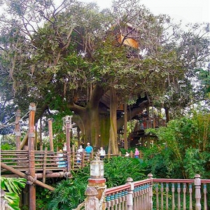 Swiss Family Robinson Treehouse