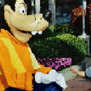 Goofy wRyan