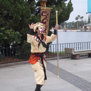 The Monkey King in Japan