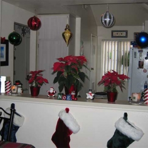 Xmas Dining