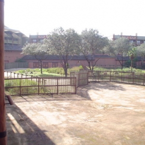 AKL Room 2251 View