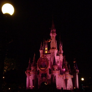 Cinderella's Castle - night