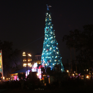 Epcot Tree Lighting