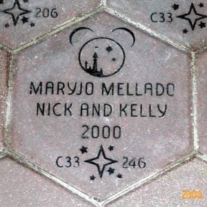 Disneyland Brick 2000