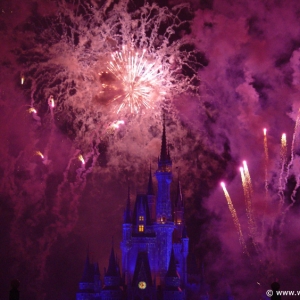 Disney's Pirate & Princess Party