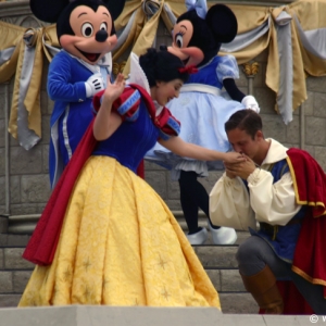 Media 'Dream Along With Mickey' in category 'Magic Kingdom'