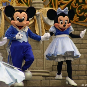 Dream Along With Mickey