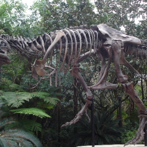 Sue, the T-Rex