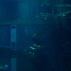 Seas Tank