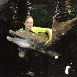 Dolphins in Depth