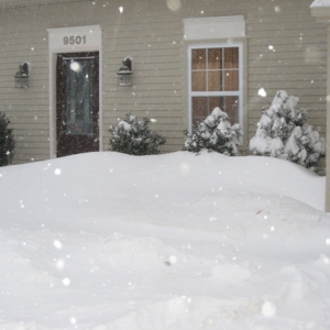 Front_of_house