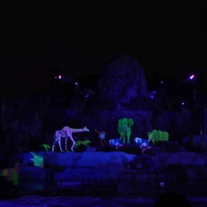 Fantasmic! Lion King