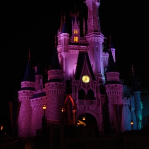 Cinderella's Castle in purple