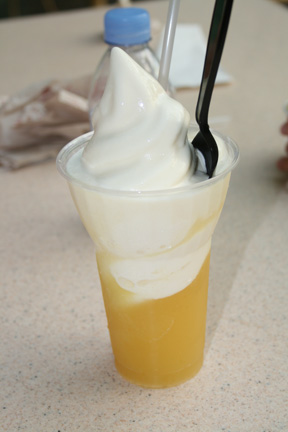 06 13 dole whip