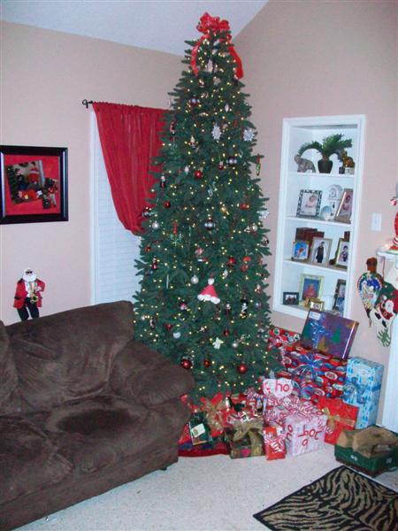 08atreepics_002_Medium_